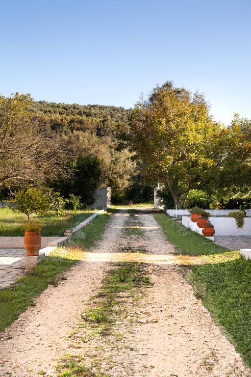 Zen Stone House Villa Agios Georgios Pagon Rum bild