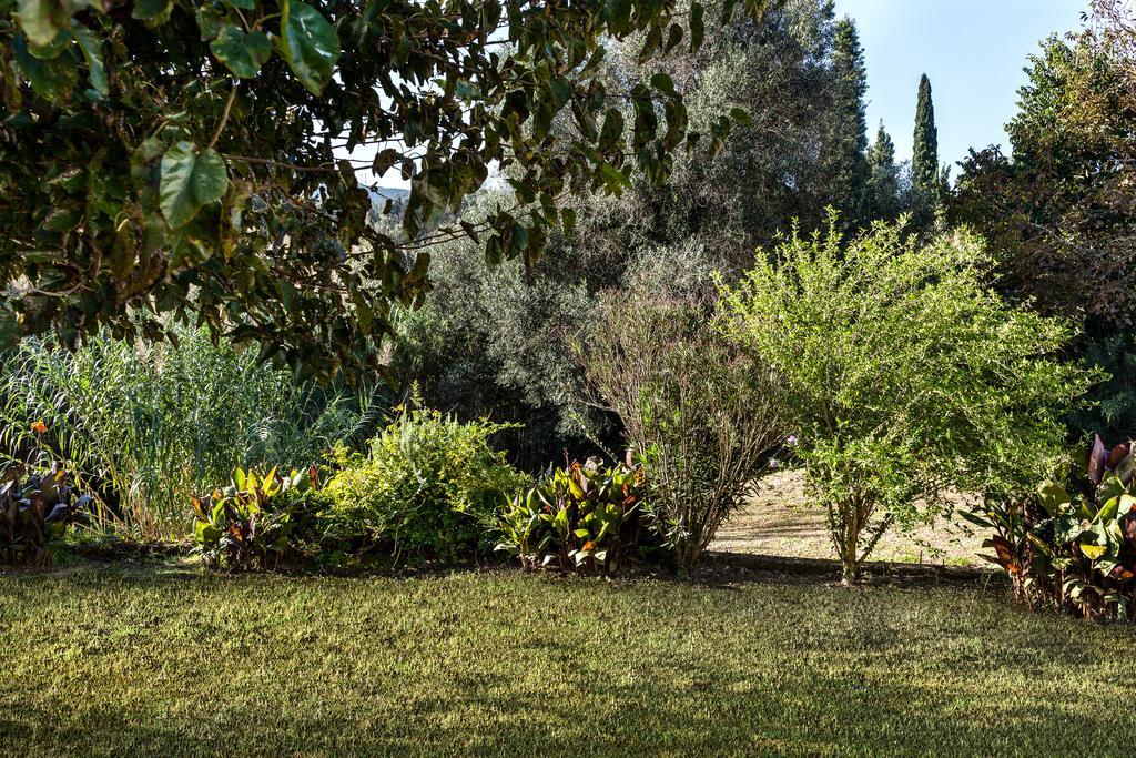 Zen Stone House Villa Agios Georgios Pagon Rum bild